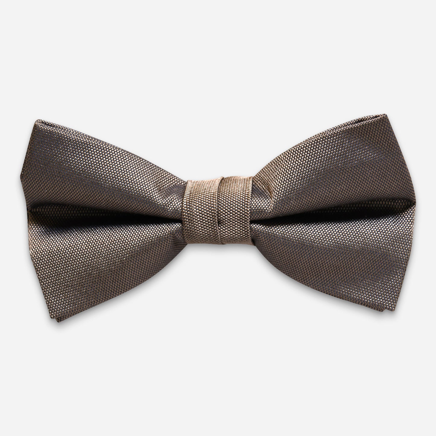 Ovada Schleife Dark-Beige